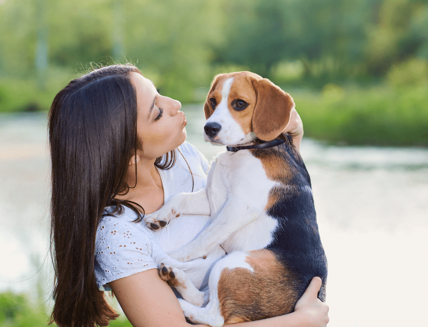 Do-Beagles-Make-Good-Pets